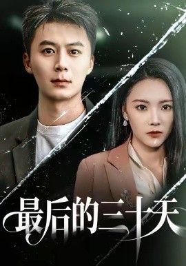 最后的三十天 高清封面