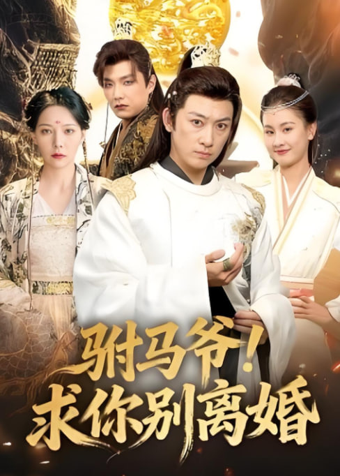 驸马爷！求你别离婚 泰剧封面