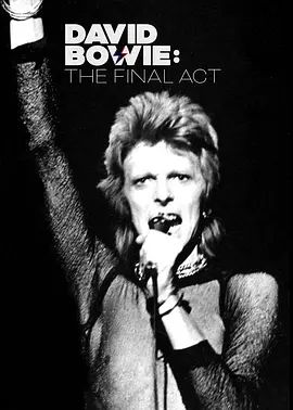 鲍伊最终幕 封面