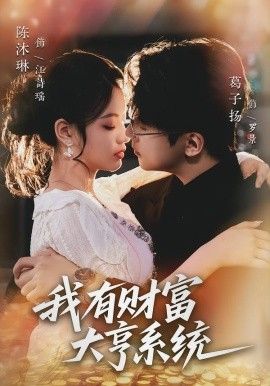我有财富大亨系统 封面