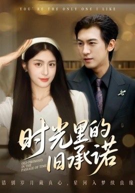 时光里的旧承诺，重逢是场盛大告白 封面