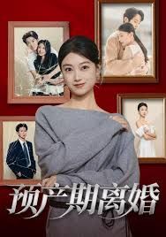 预产期离婚 高清封面