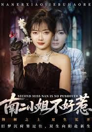 南二小姐不好惹 高清封面