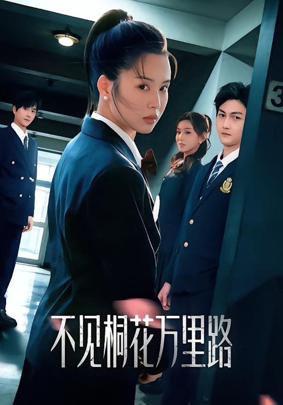 不见桐花万里路 封面