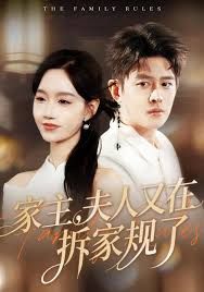 家主，夫人又在拆家规了 高清封面