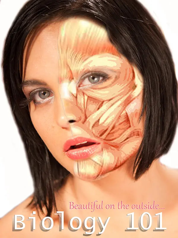 挡不住的诱惑 封面