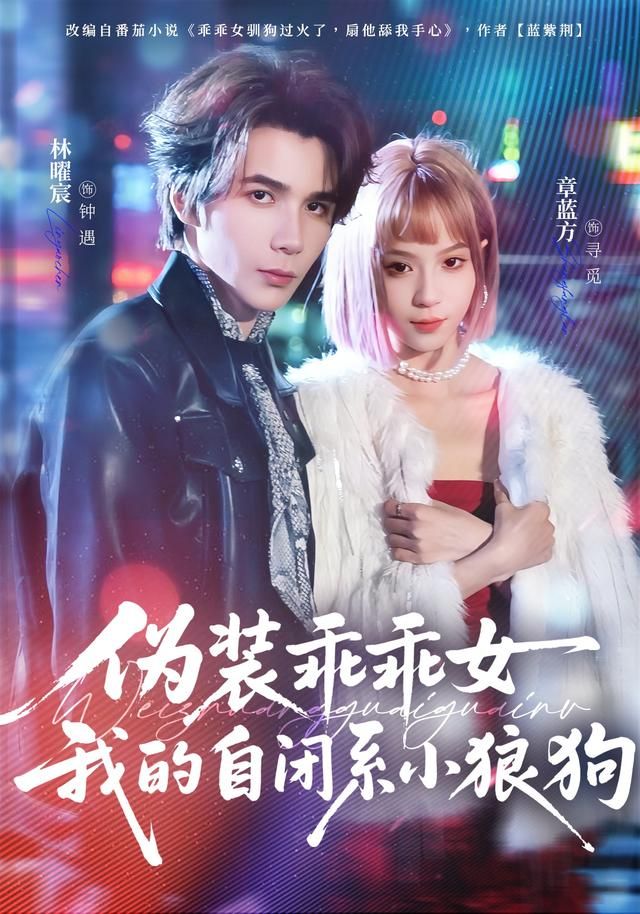 伪装乖乖女我的自闭系小狼狗 高清封面