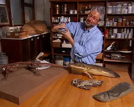 审判日 2007 封面