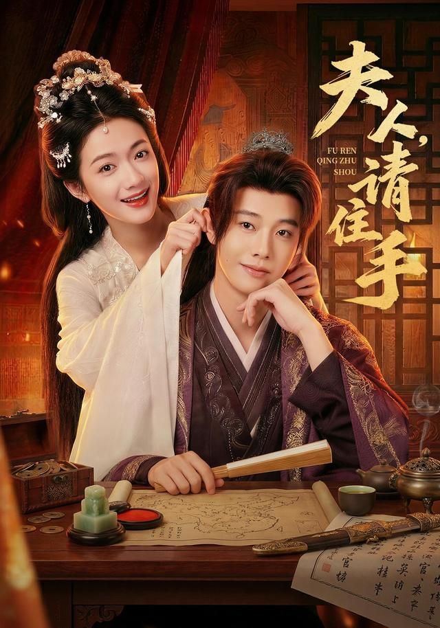 夫人，请住手 高清封面