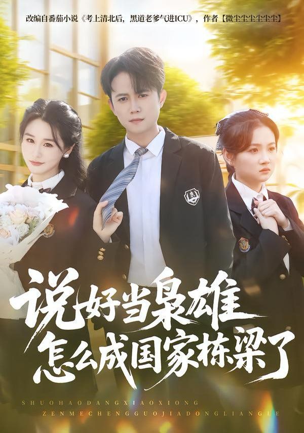 说好当枭雄怎么成国家栋梁了 高清封面