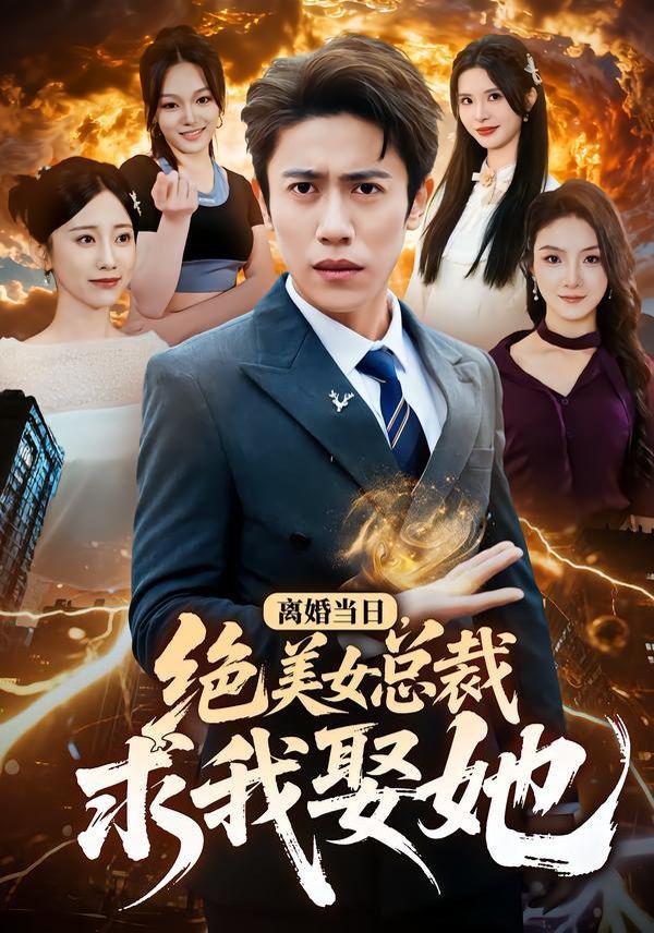 离婚当日，绝美女总裁求我娶她 高清封面