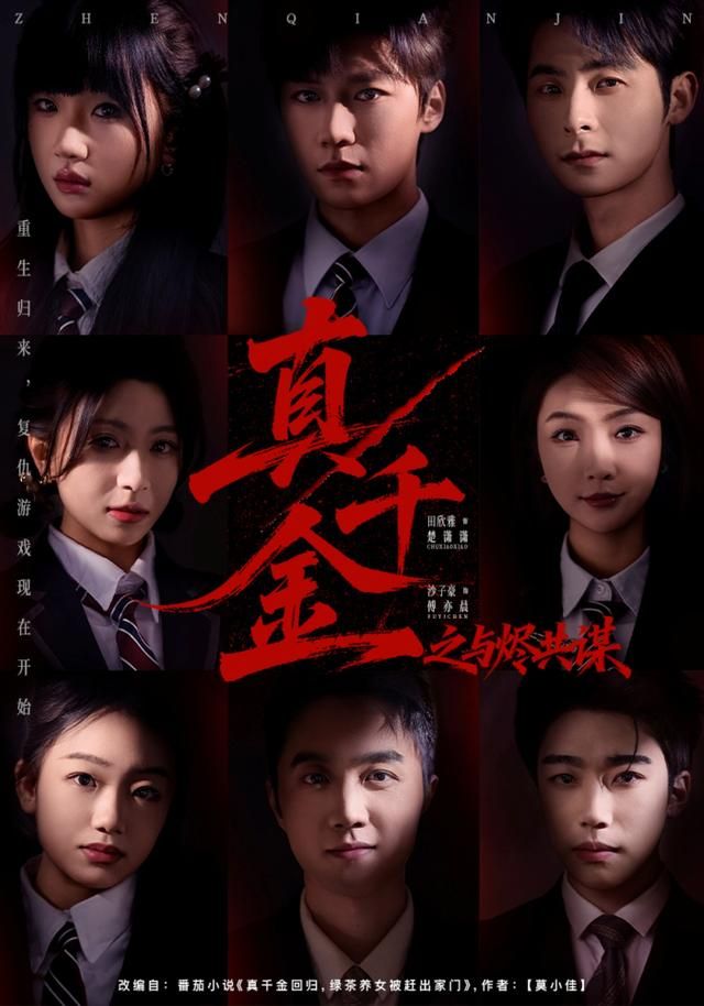 真千金之与烬共谋 封面