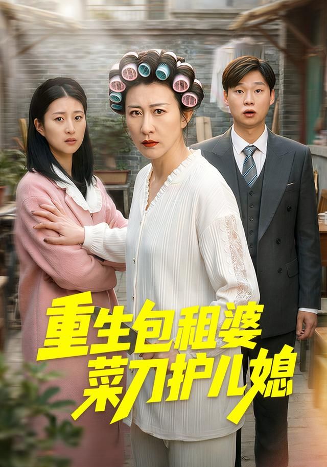 重生包租婆菜刀护儿媳 封面