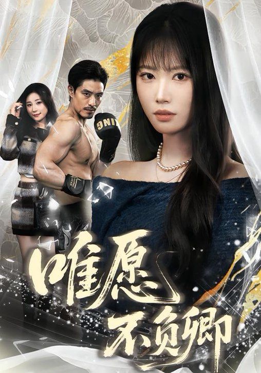 唯愿不负卿 封面