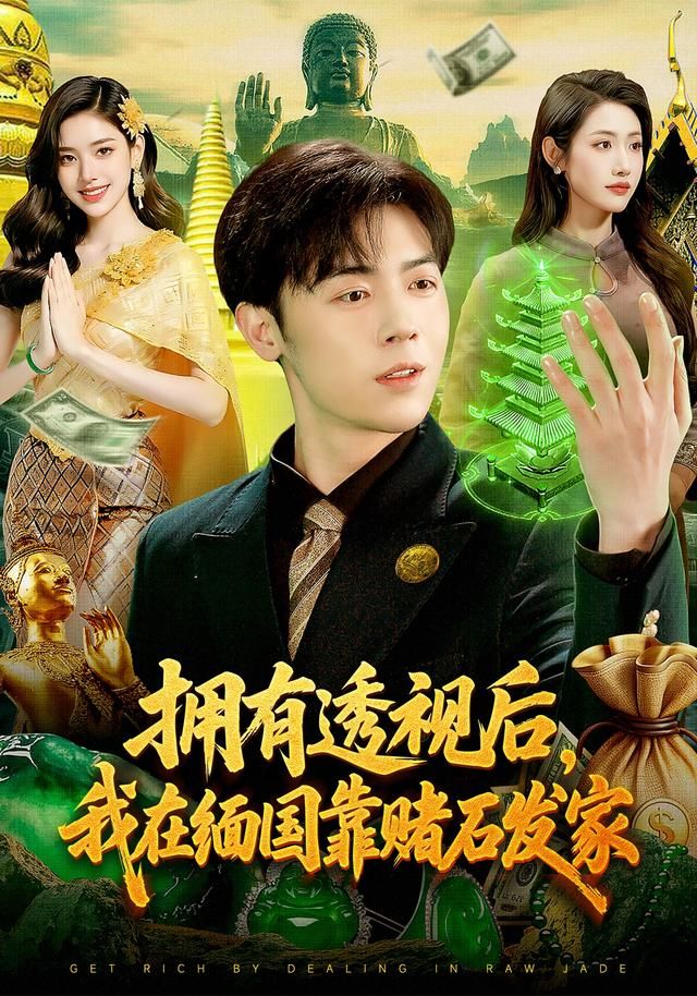 拥有透视后，我在缅国靠赌石发家 高清封面