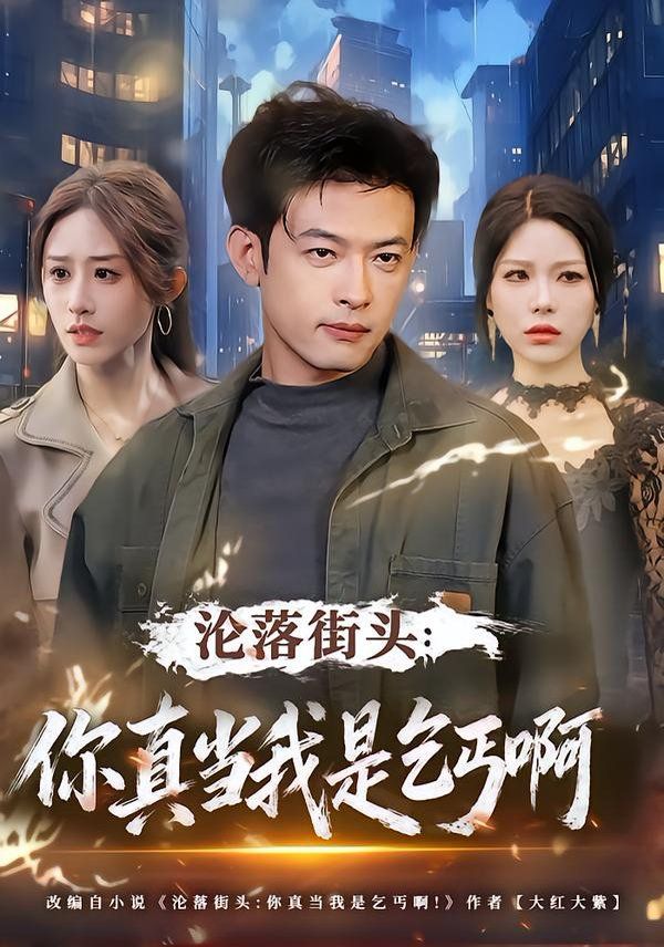 沦落街头：你真当我是乞丐啊 封面