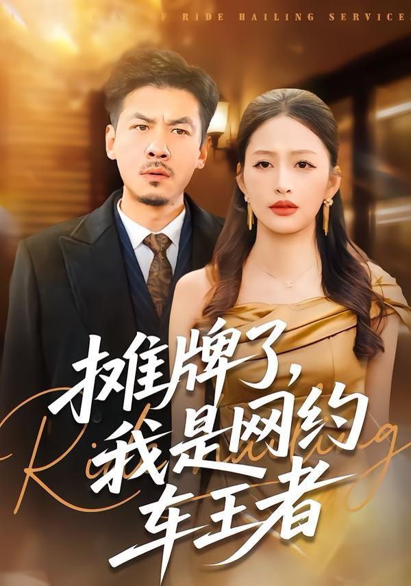 摊牌了，我是网约车王者 高清封面