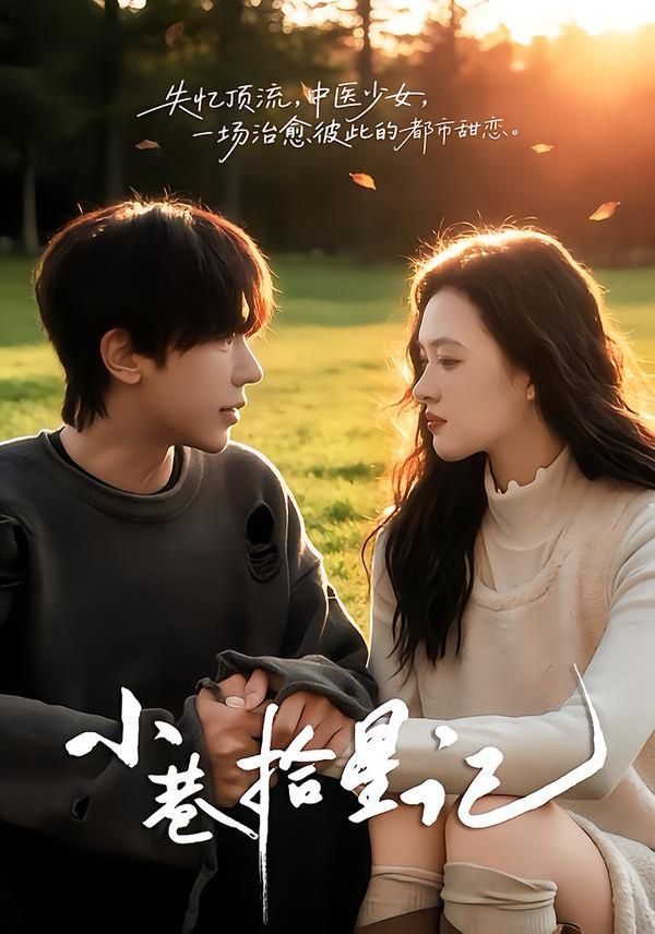 小巷拾星记 封面