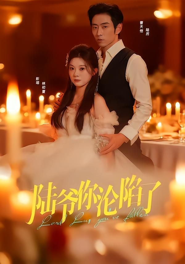 陆爷你沦陷了 封面