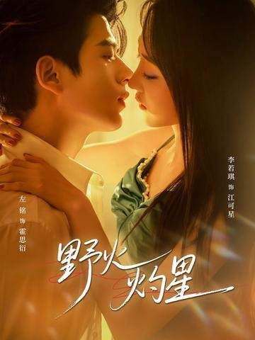 野火灼星 高清封面