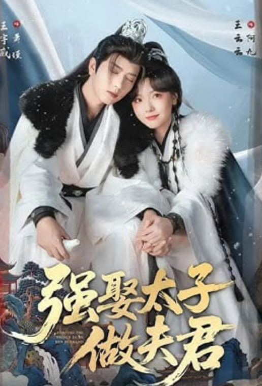 强娶太子做夫君 高清封面
