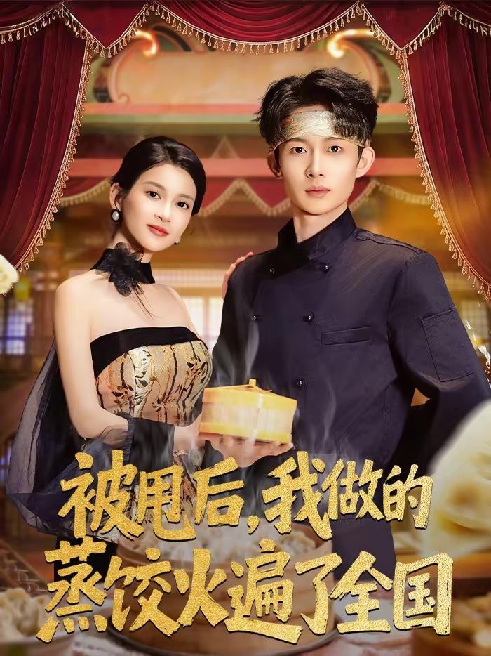 被甩后，我做的蒸饺火遍了全国 高清封面