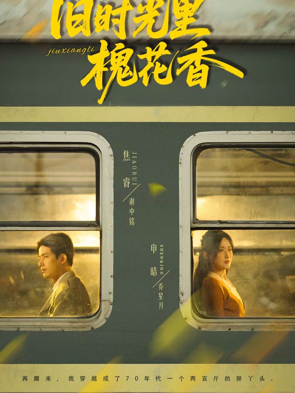 旧时光里槐花香 封面