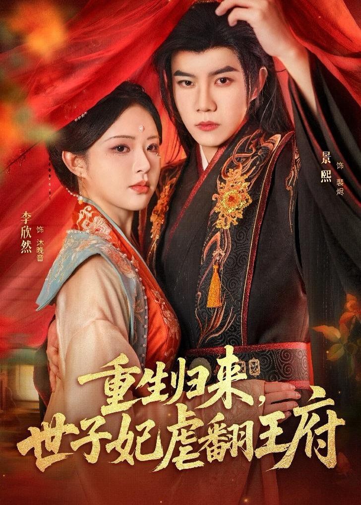重生归来，世子妃虐翻王府 封面