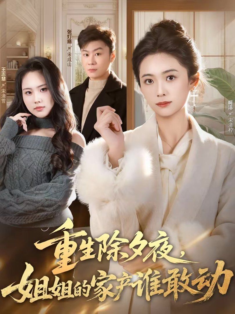 重生除夕夜，姐姐的家产谁敢动 高清封面