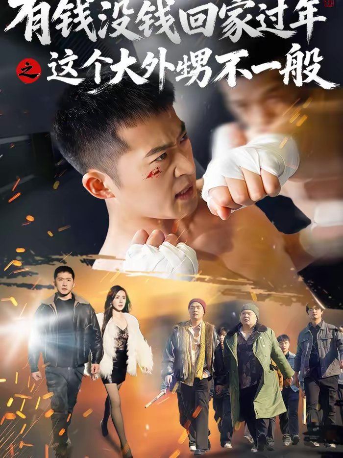 有钱没钱回家过年之这个大外甥不一般 高清封面