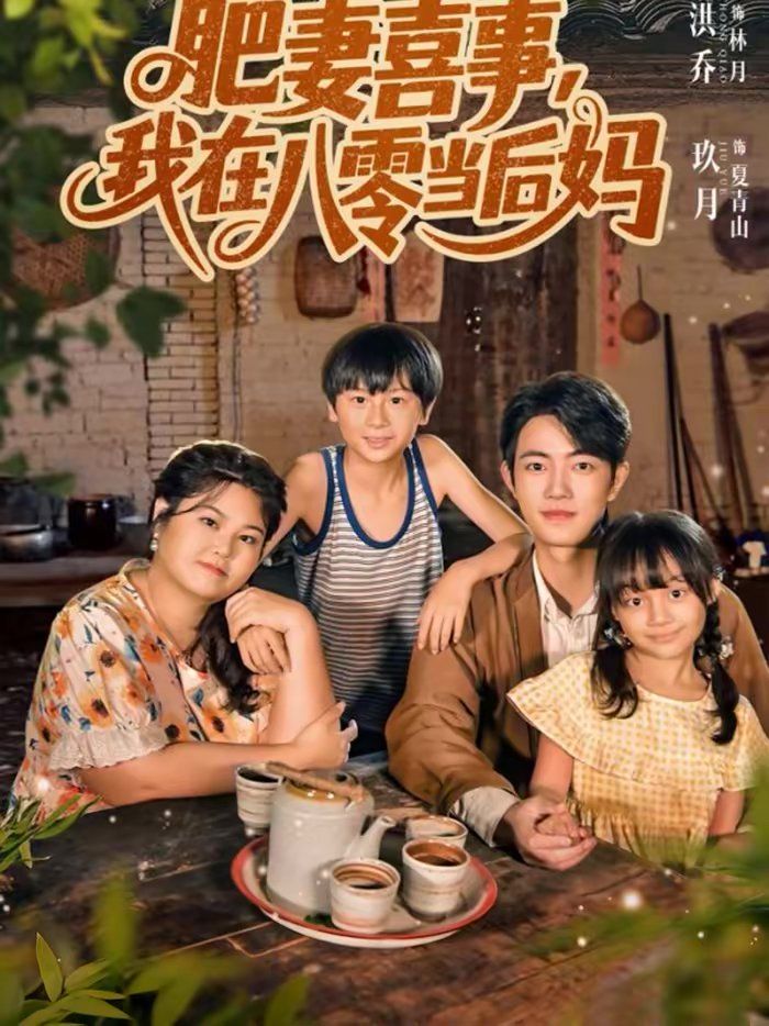 肥妻喜事，我在八零当后妈 高清封面