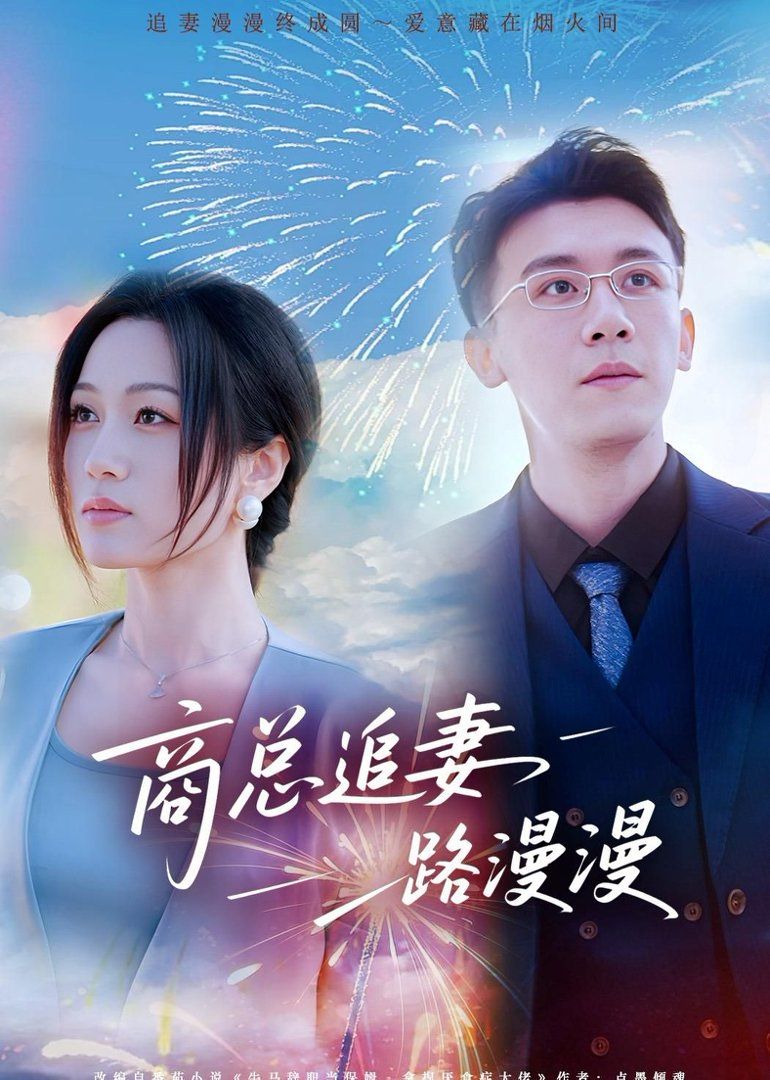 商总追妻路漫漫 高清封面