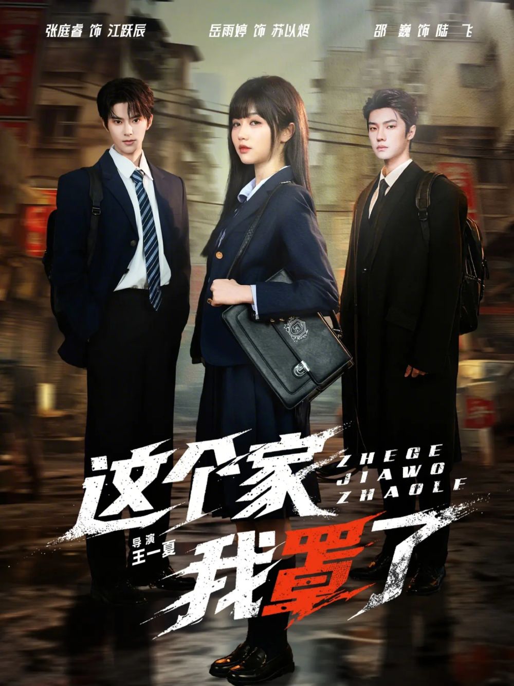 这个家我罩了 封面