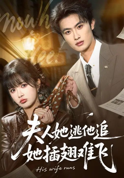 夫人她逃他追，她插翅难飞 高清封面