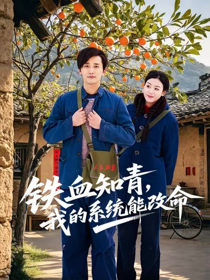 铁血知青，我的系统能改命 封面