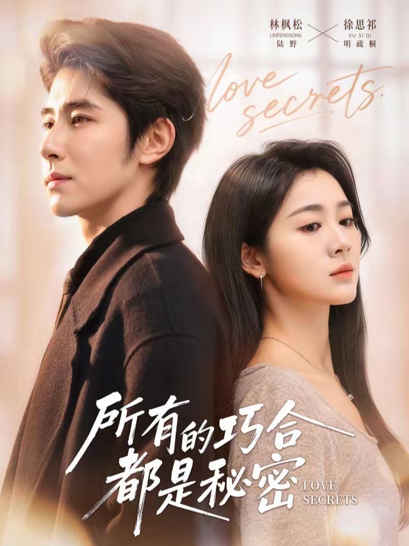 所有的巧合都是秘密（陆总夫人她只想离婚） 高清封面