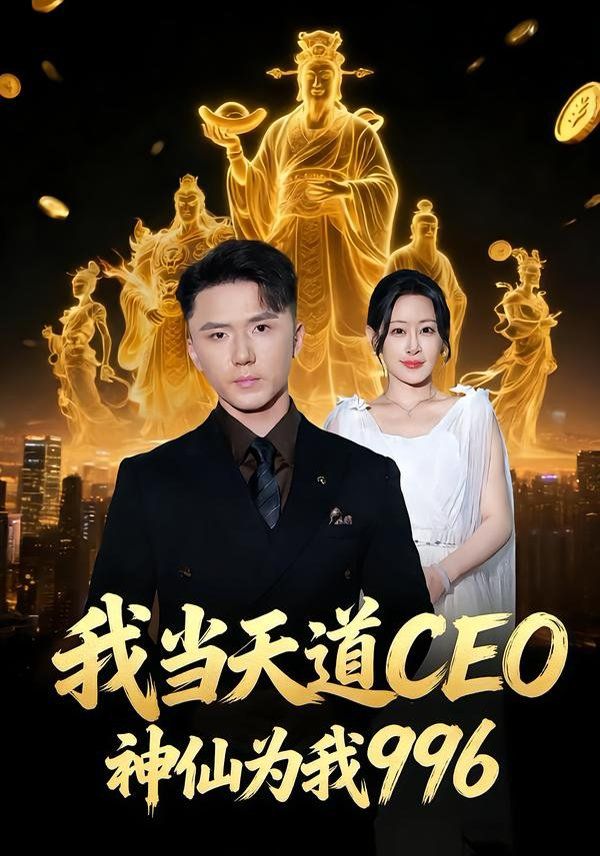 我当天道CEO，神仙为我996 封面
