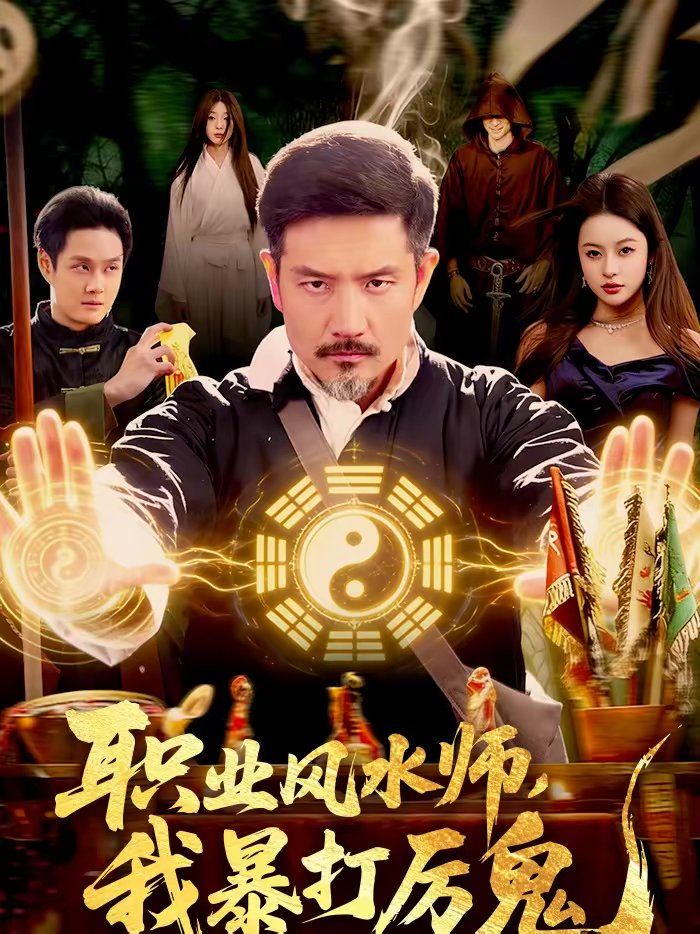 职业风水师，我暴打厉鬼 封面