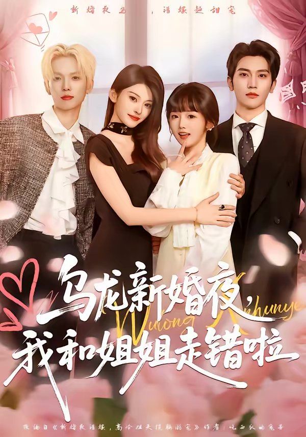 乌龙新婚夜，我和姐姐走错啦 高清封面