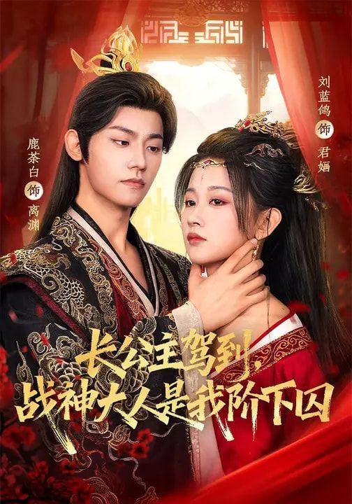 长公主驾到，战神大人是我阶下囚 封面